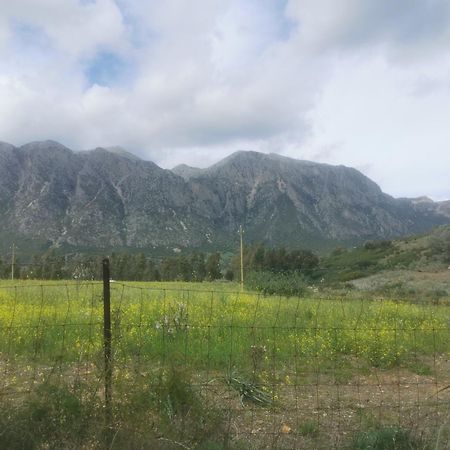 Localita Zarvenu Villa Siniscola Buitenkant foto
