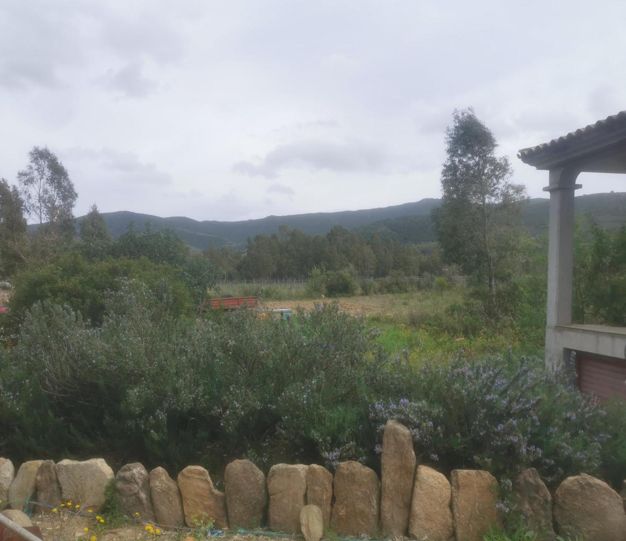 Localita Zarvenu Villa Siniscola Buitenkant foto