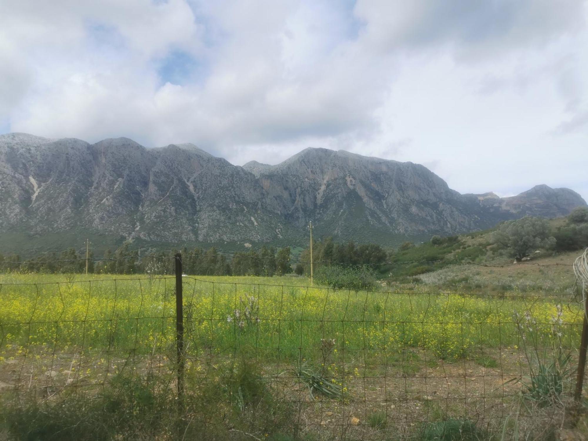 Localita Zarvenu Villa Siniscola Buitenkant foto